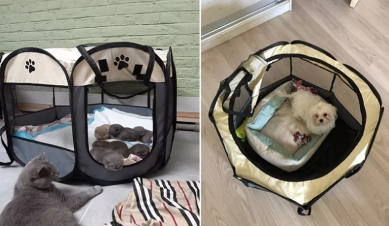 Corral portátil para mascotas